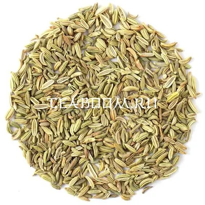 Фенхель сушеный (целый)