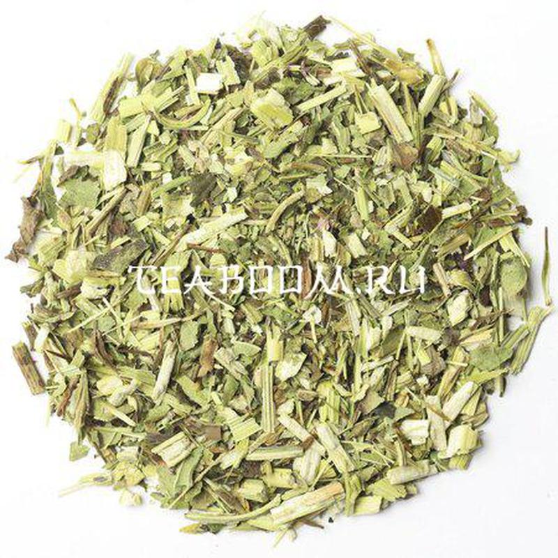 Эхинацея трава