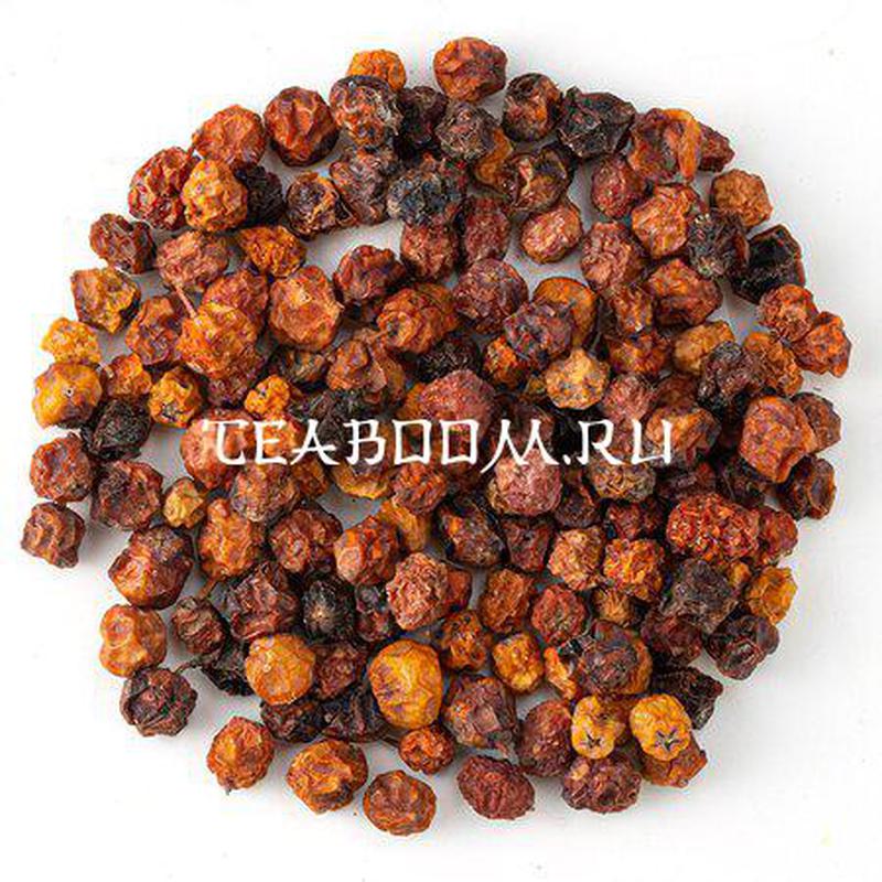 Рябина красноплодная