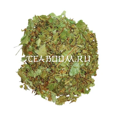 Цветы липы