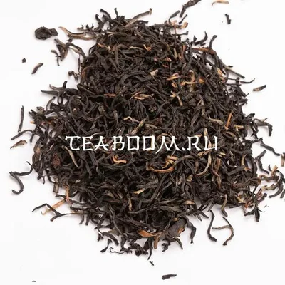 Ассам Хаттиалли STGFOP1 S